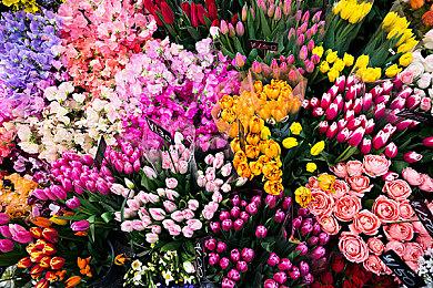 国产独游水墨风格动作Roguelite《墨境》首部PV亮相