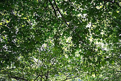 Steam新游周报：《边缘世界》更新DLC 《啪嗒砰1+2》复刻来袭